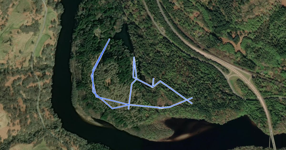 Маршрут Faskally Forest 5km ParkRun Route на спутниковом снимке