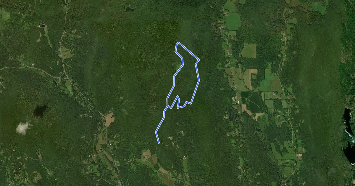 Маршрут Father Loop trail на спутниковом снимке