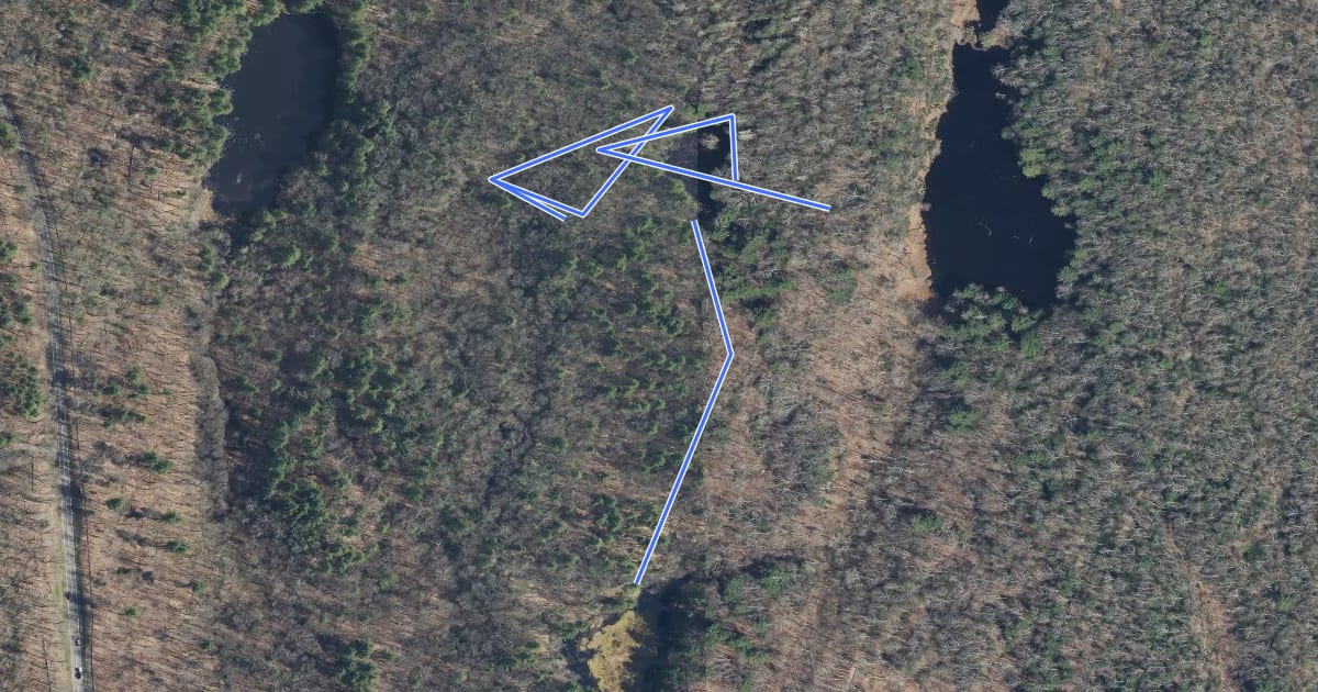 Маршрут Fawn Pond на спутниковом снимке