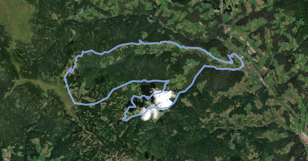Маршрут Feldalm - Rundtour на спутниковом снимке