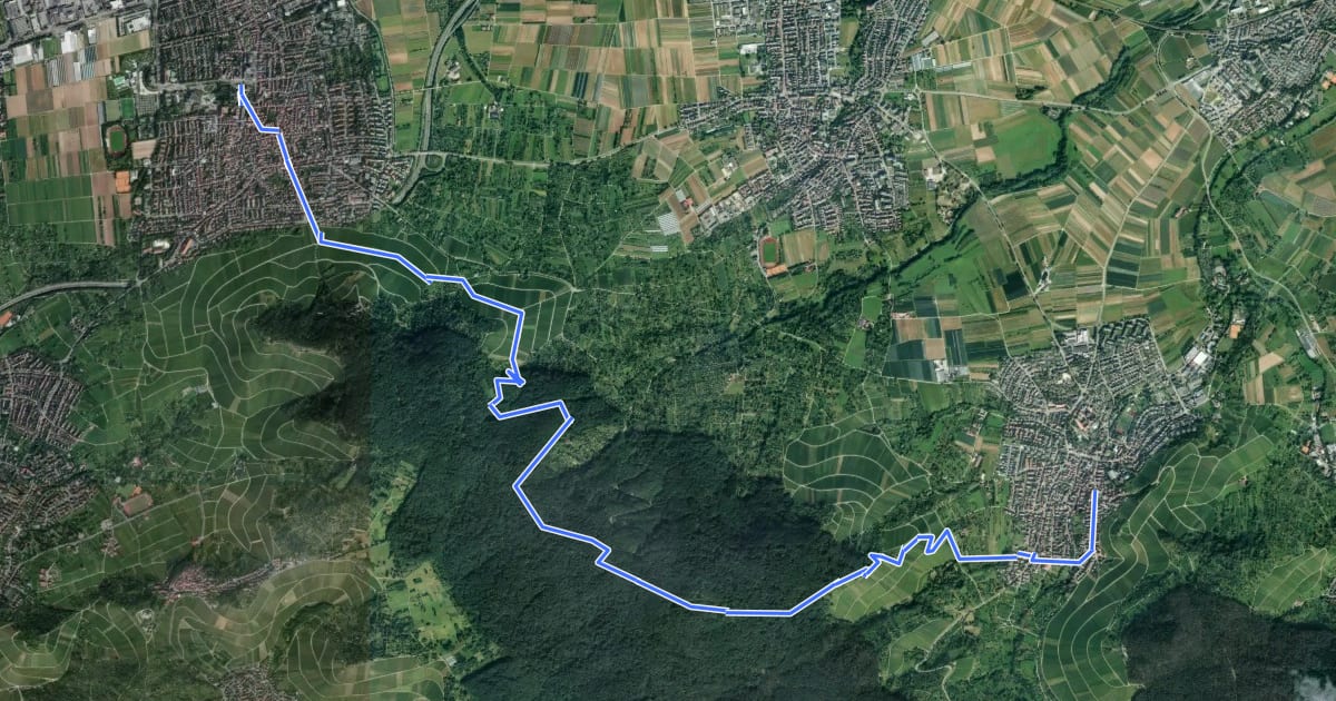 Маршрут Fellbacher Höhenweg на спутниковом снимке