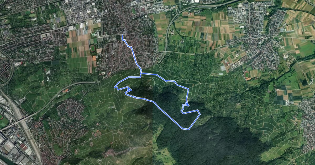 Маршрут Fellbacher Rebenweg на спутниковом снимке