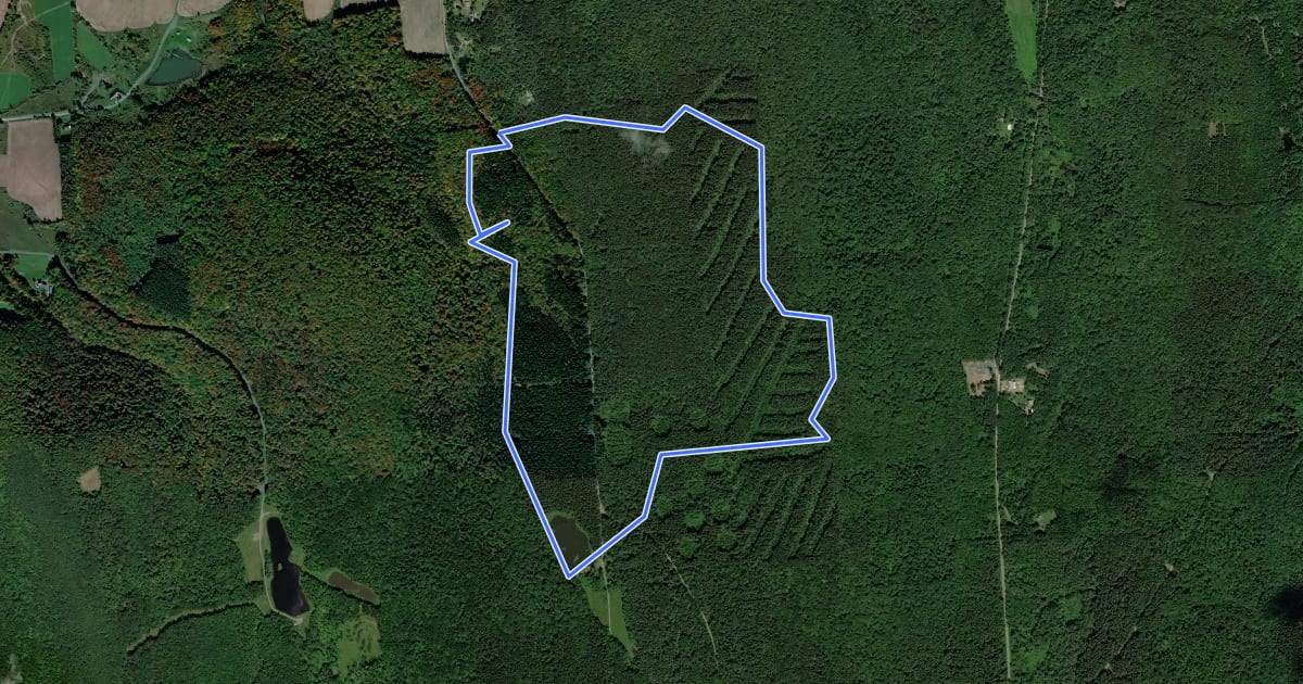 Маршрут Fellows Hill Loop на спутниковом снимке
