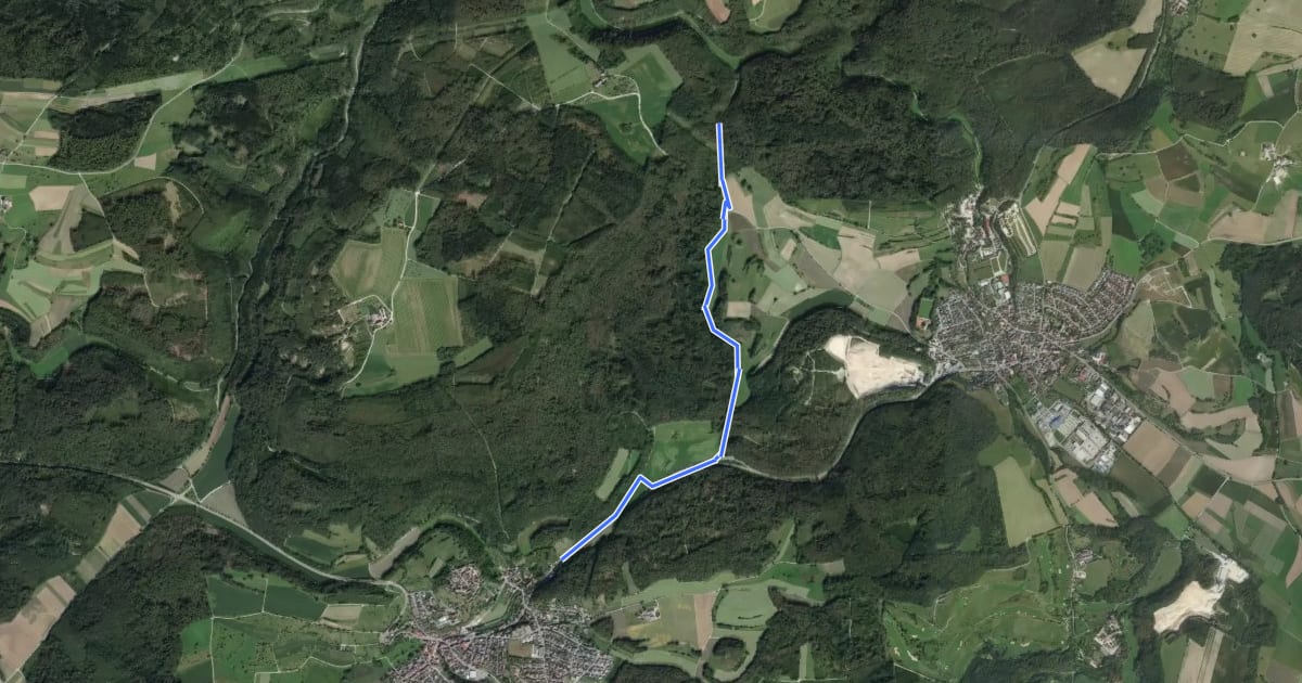 Маршрут Felsenbühl - Hohe Steig на спутниковом снимке