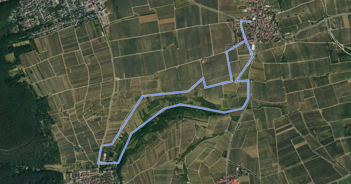 Маршрут Felsenbergweg на спутниковом снимке