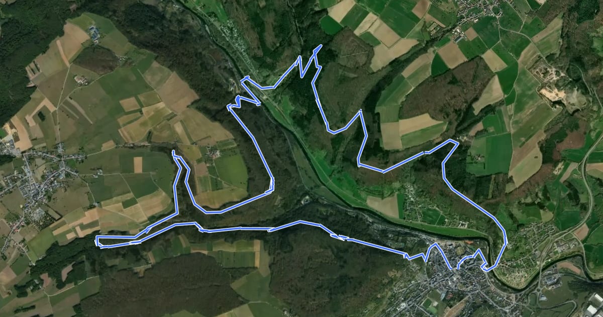 Маршрут Felsenweg 1 на спутниковом снимке