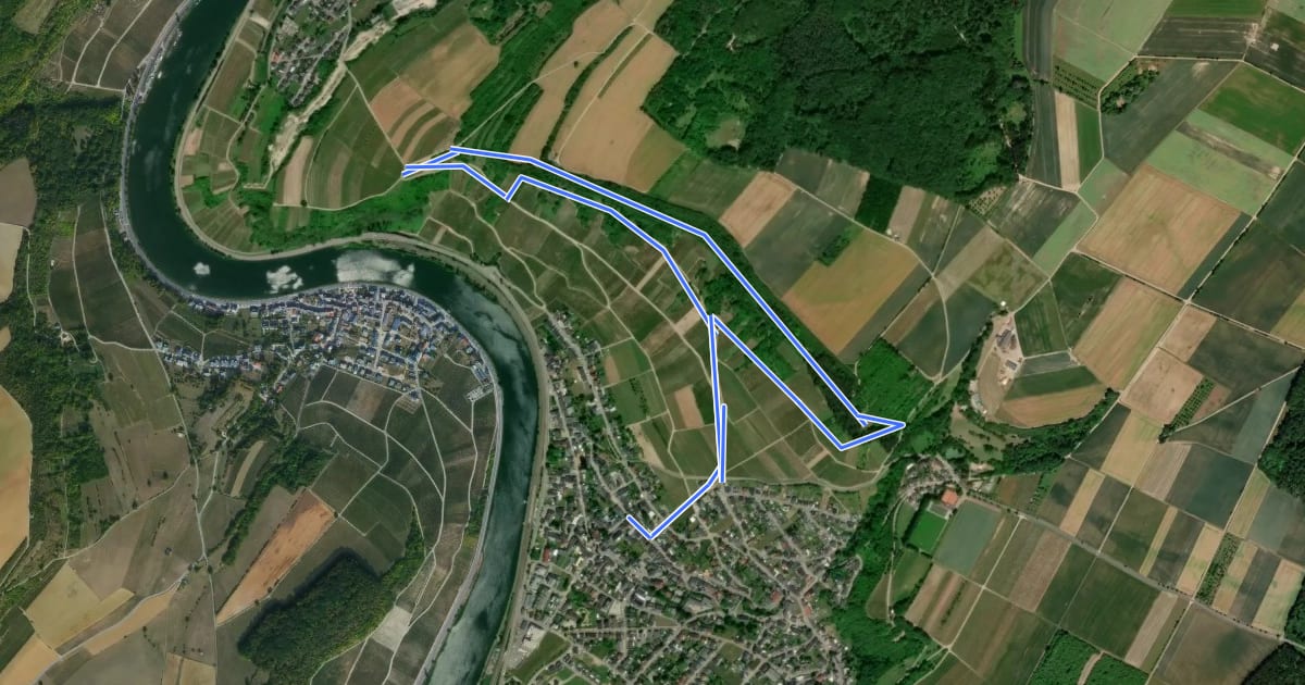 Маршрут Felsenweg на спутниковом снимке