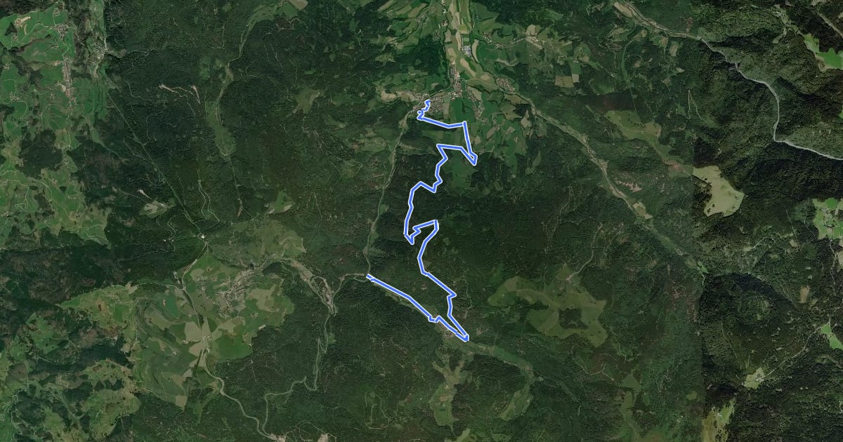 Маршрут Felsenweg Oberried на спутниковом снимке