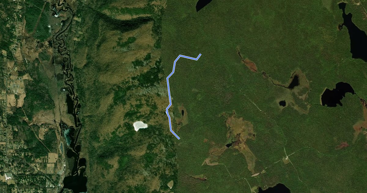 Маршрут Felton Trail на спутниковом снимке