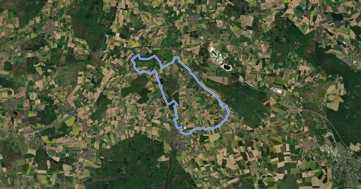 Маршрут FEMO-Nord Lutterheide на спутниковом снимке