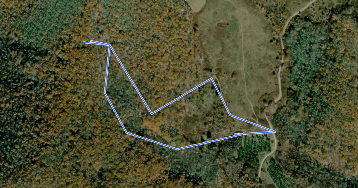 Маршрут Ferguson Cabin Trail на спутниковом снимке