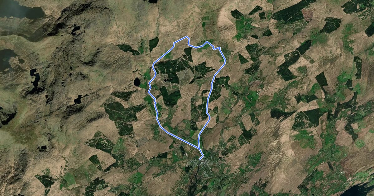 Маршрут Fermoyle Loop на спутниковом снимке