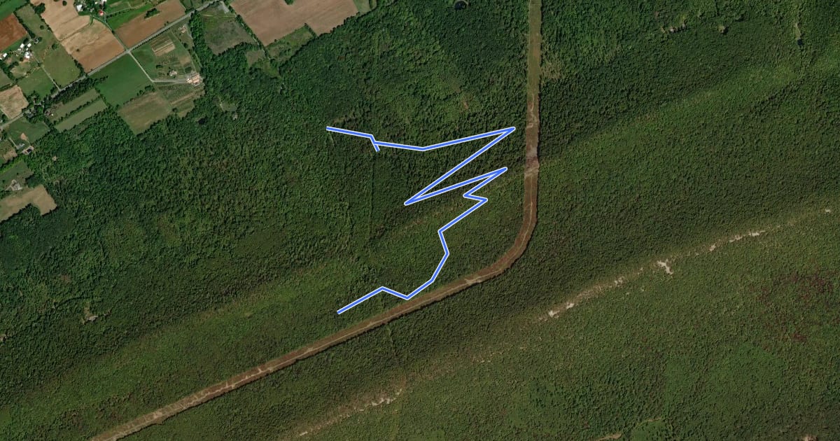 Маршрут Fern Winder Trail на спутниковом снимке