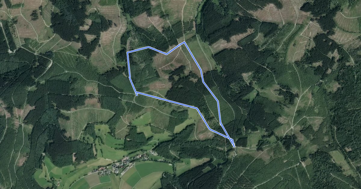 Маршрут Ferndorfquelle Rundweg A9 (Oberndorfer Höhe) на спутниковом снимке