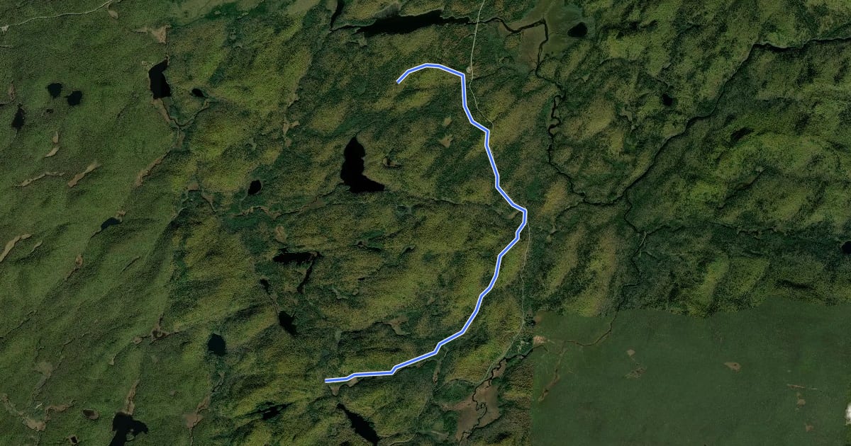 Маршрут Ferris Lake - Wagoners Loop Trail на спутниковом снимке
