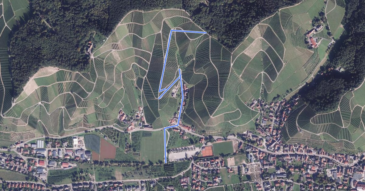 Маршрут Festplatz Durbach - Hilsbacher Höhe на спутниковом снимке