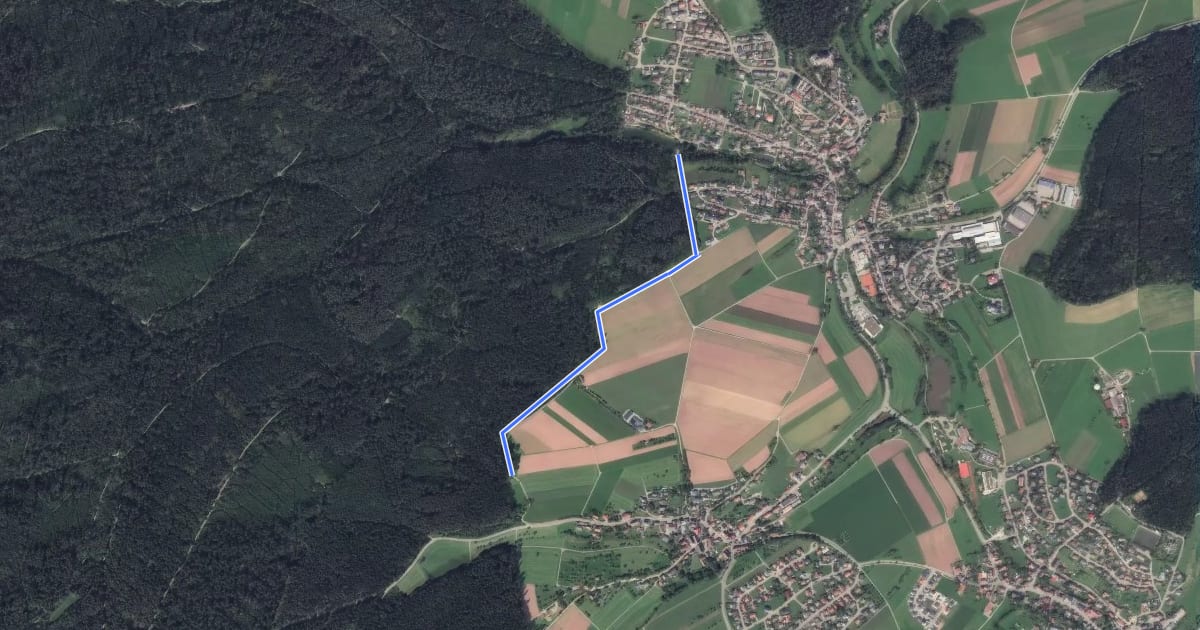 Маршрут Feuerwehrhütte - Waldsee на спутниковом снимке