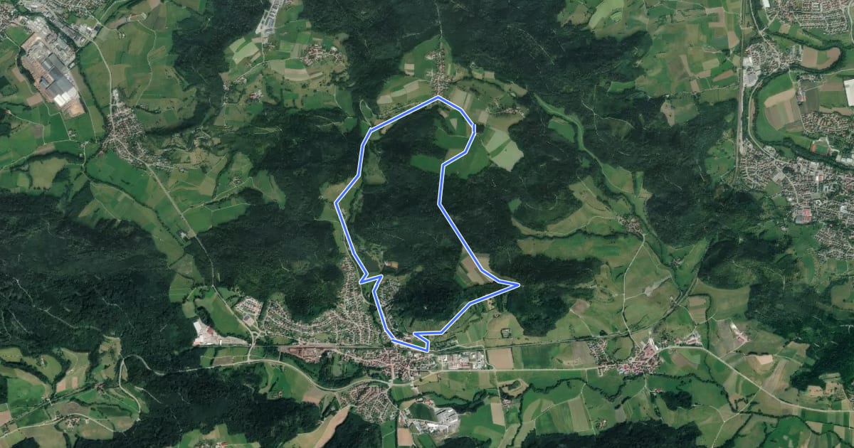 Маршрут Fichtenberg Rundwanderweg 2 на спутниковом снимке