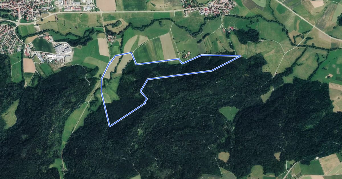 Маршрут Fichtenberg Rundwanderweg 3 на спутниковом снимке