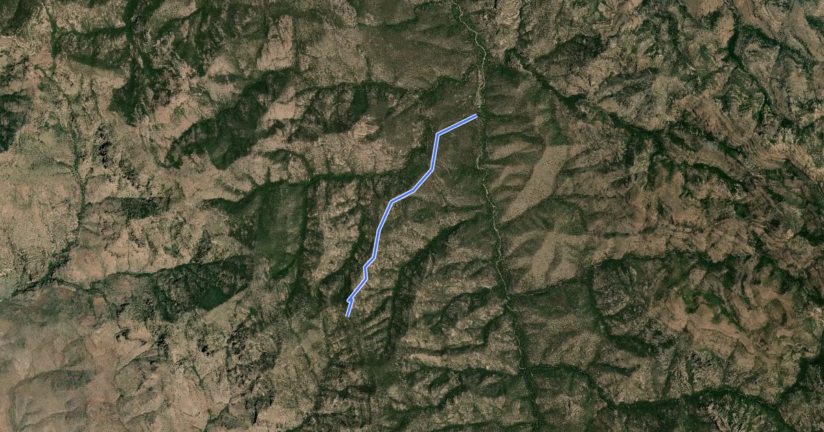 Маршрут Field Canyon Trail #294 на спутниковом снимке