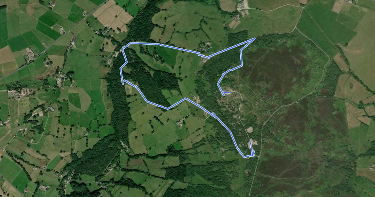Маршрут Fields and Fell Beck trail from Brimham Rocks на спутниковом снимке