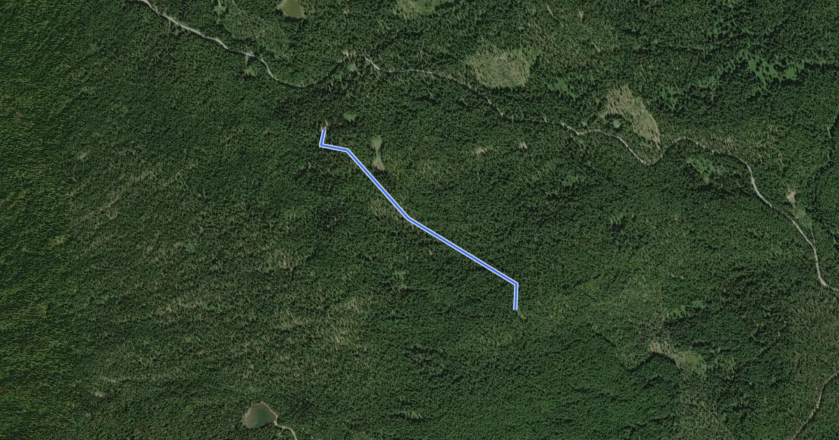 Маршрут Filloon Trail #102 на спутниковом снимке