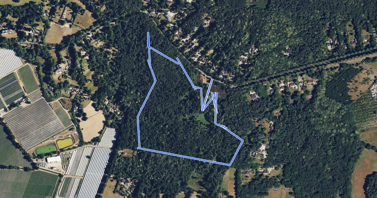 Маршрут Finchampstead Ridges Ramble, Finchampstead Ridges на спутниковом снимке