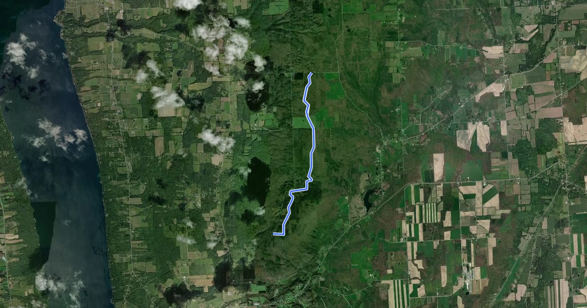 Маршрут Finger Lakes - Interloken South на спутниковом снимке