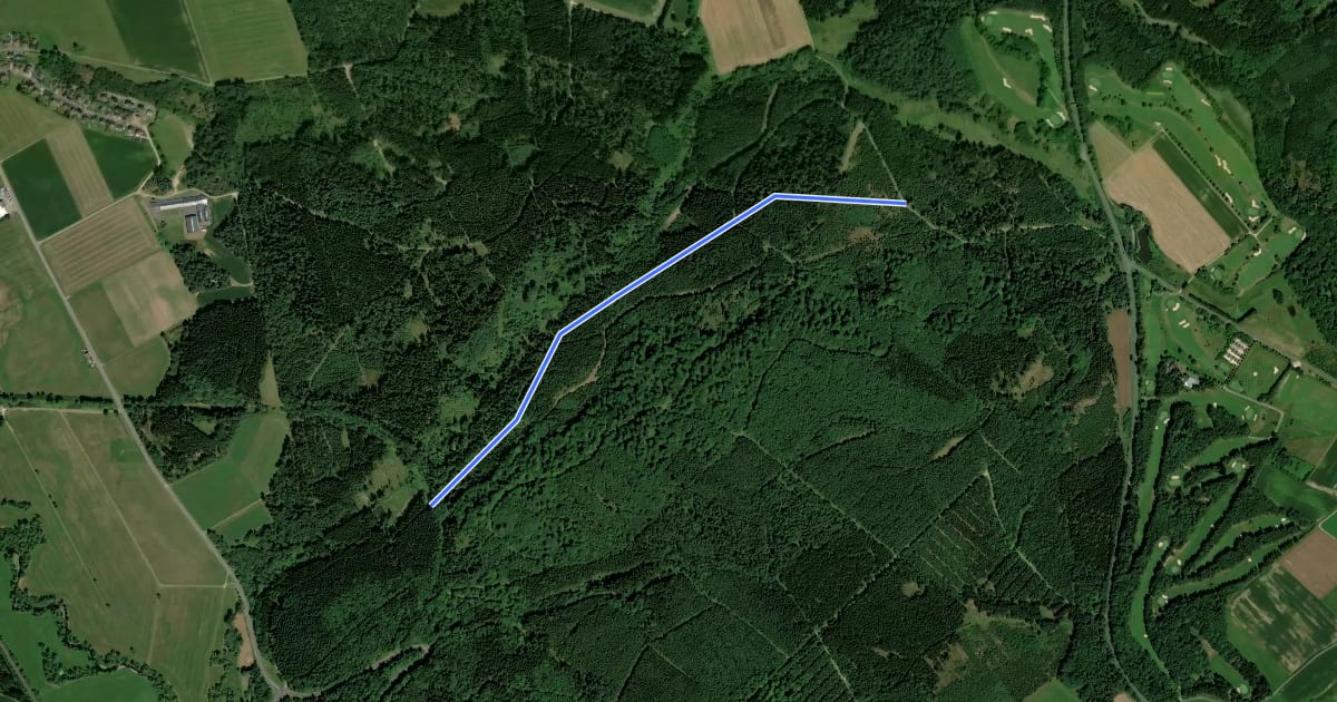Маршрут Finkenbachtal - B421 на спутниковом снимке