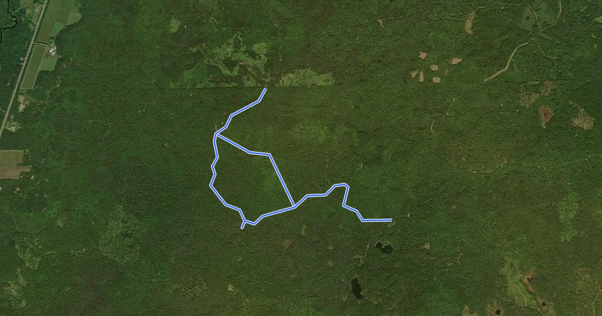 Маршрут Fire Tower на спутниковом снимке