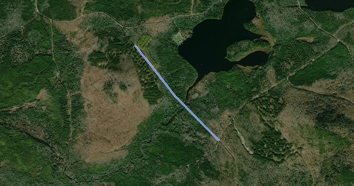 Маршрут First West Branch Cutoff на спутниковом снимке