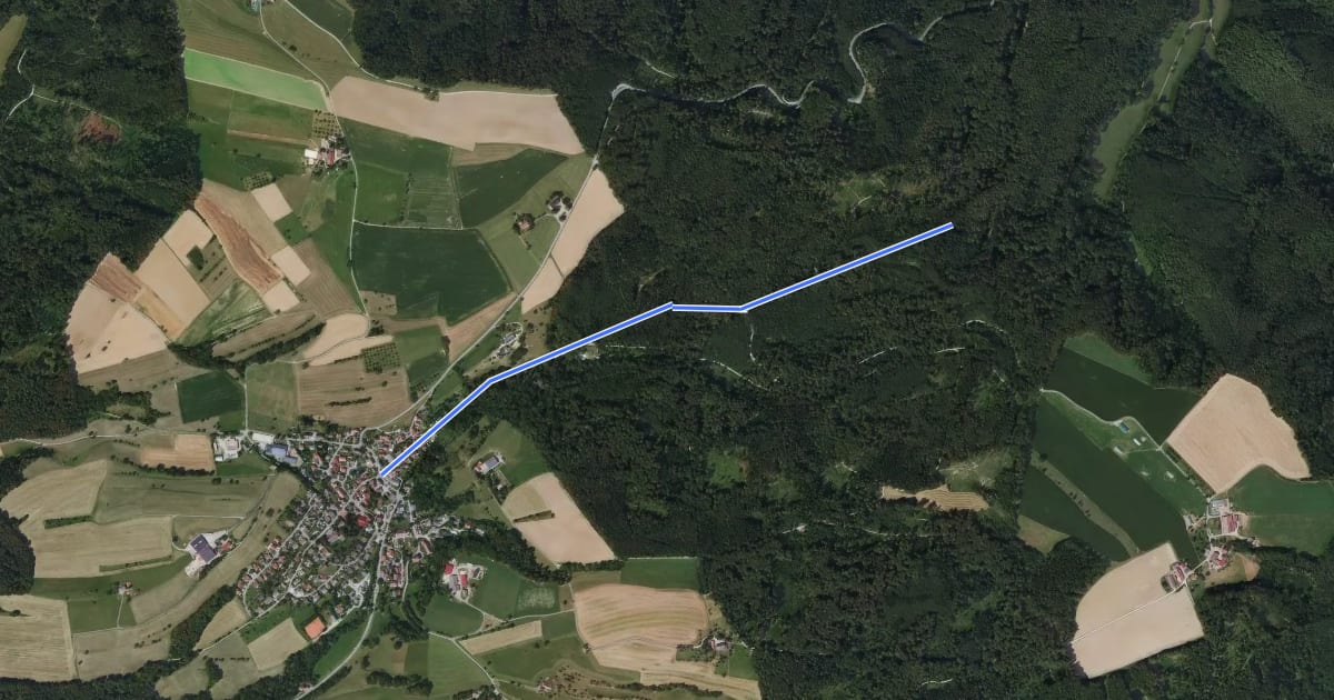 Маршрут Firstweg Ewigkeit - Schienen Gasthaus Hirschen на спутниковом снимке