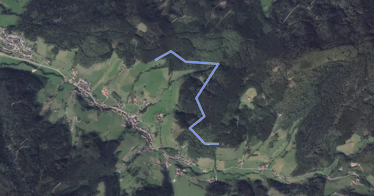 Маршрут Fischerdobelweg - Fischerdobel на спутниковом снимке