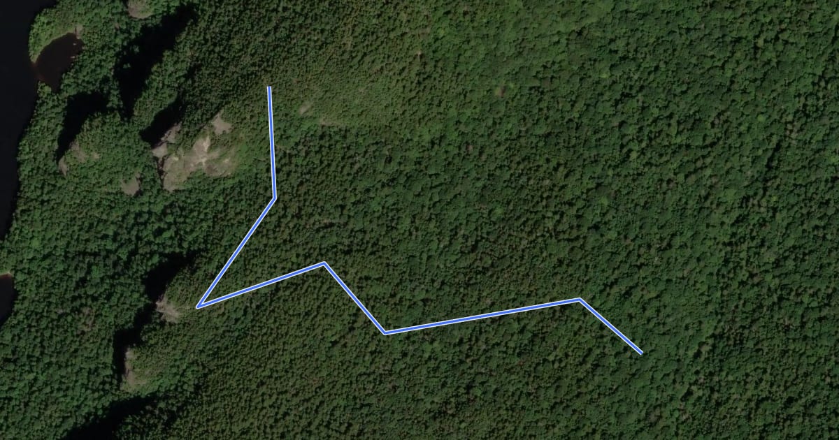 Маршрут Fish Hawk Cliffs Trail на спутниковом снимке
