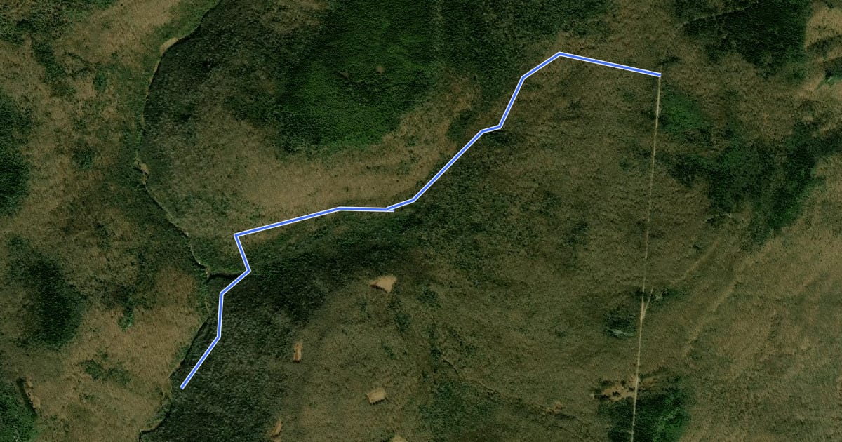 Маршрут Fisher Spring Run Trail на спутниковом снимке