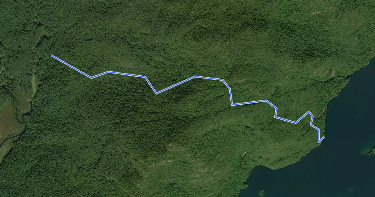 Маршрут Five Mile Point Trail на спутниковом снимке