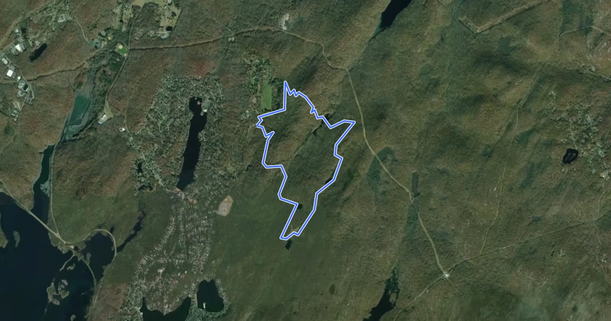 Маршрут Five Ponds Loop на спутниковом снимке