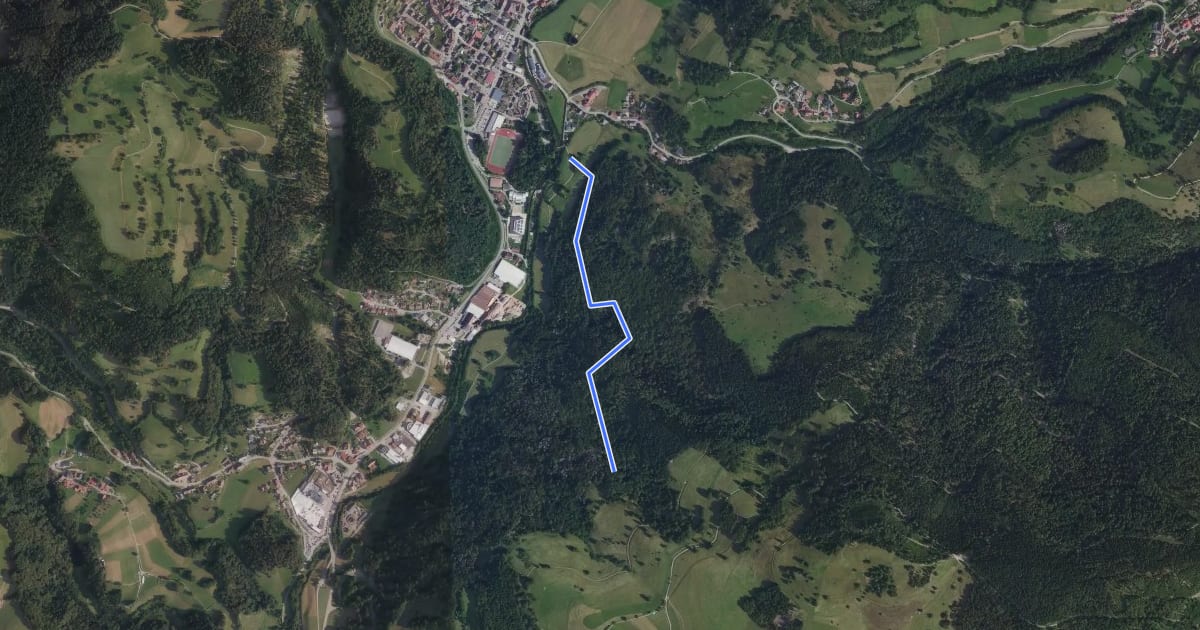 Маршрут Flühweg Abzw. Urwaldpfad - Unterhalb Holzer Kreuz на спутниковом снимке