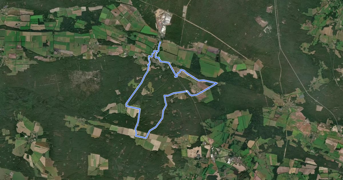 Маршрут Fläming-Glashütte-Weg на спутниковом снимке