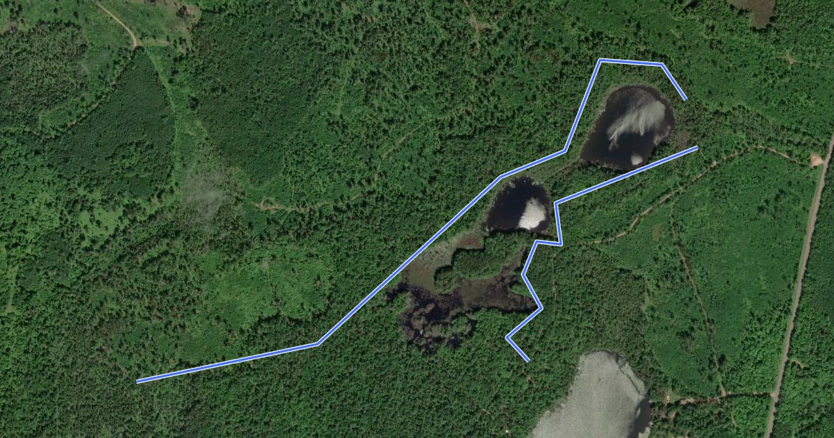 Маршрут Flacks Lake Pathway на спутниковом снимке