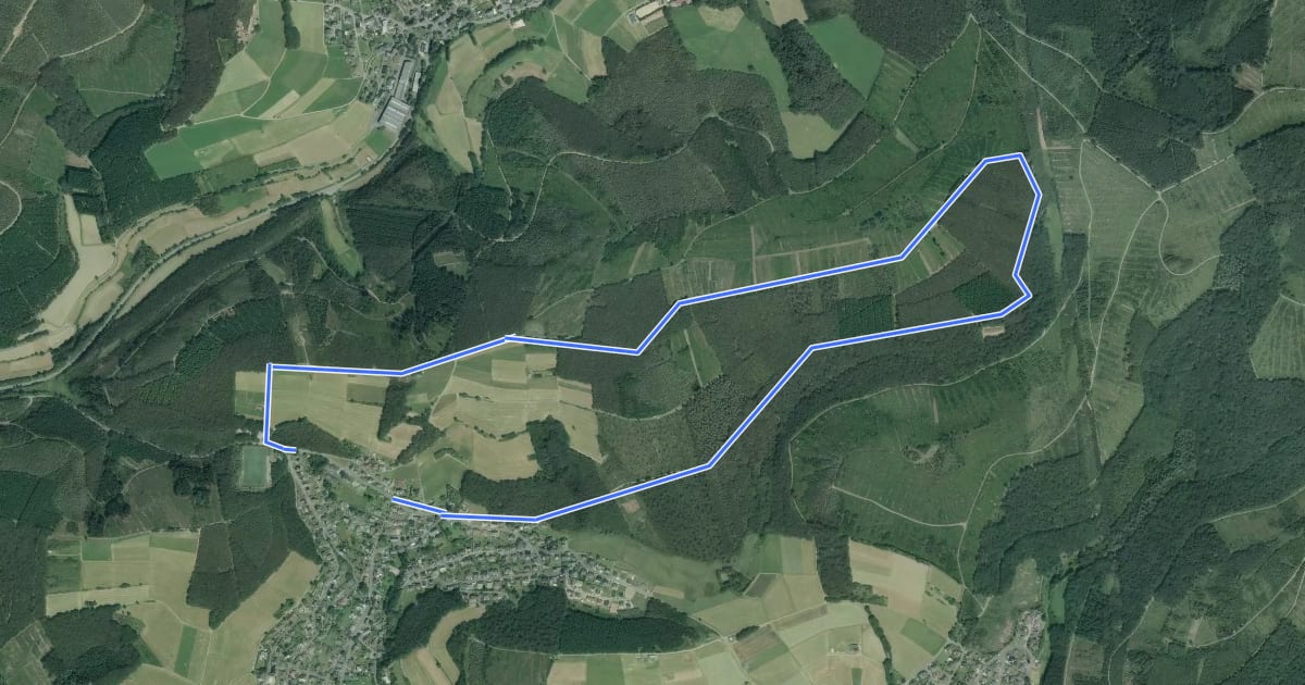 Маршрут Flammersbach Rundweg A2 на спутниковом снимке