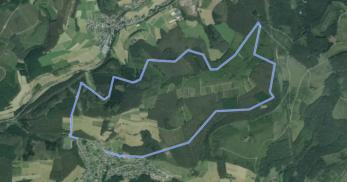 Маршрут Flammersbach Rundweg A3 на спутниковом снимке