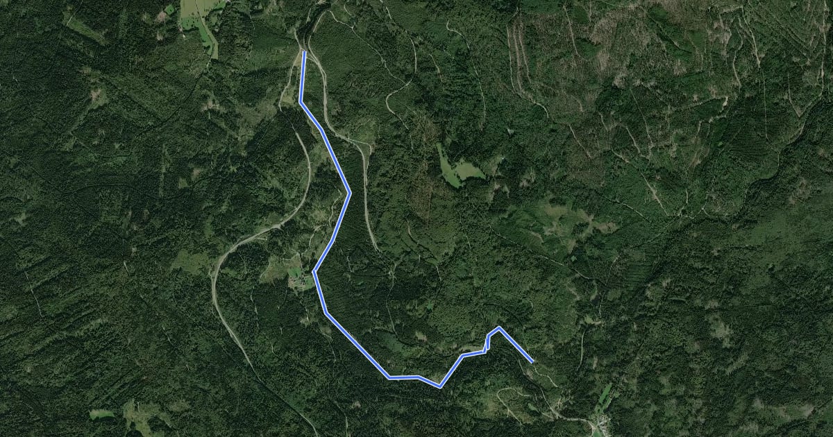 Маршрут Flanitzwinterweg на спутниковом снимке