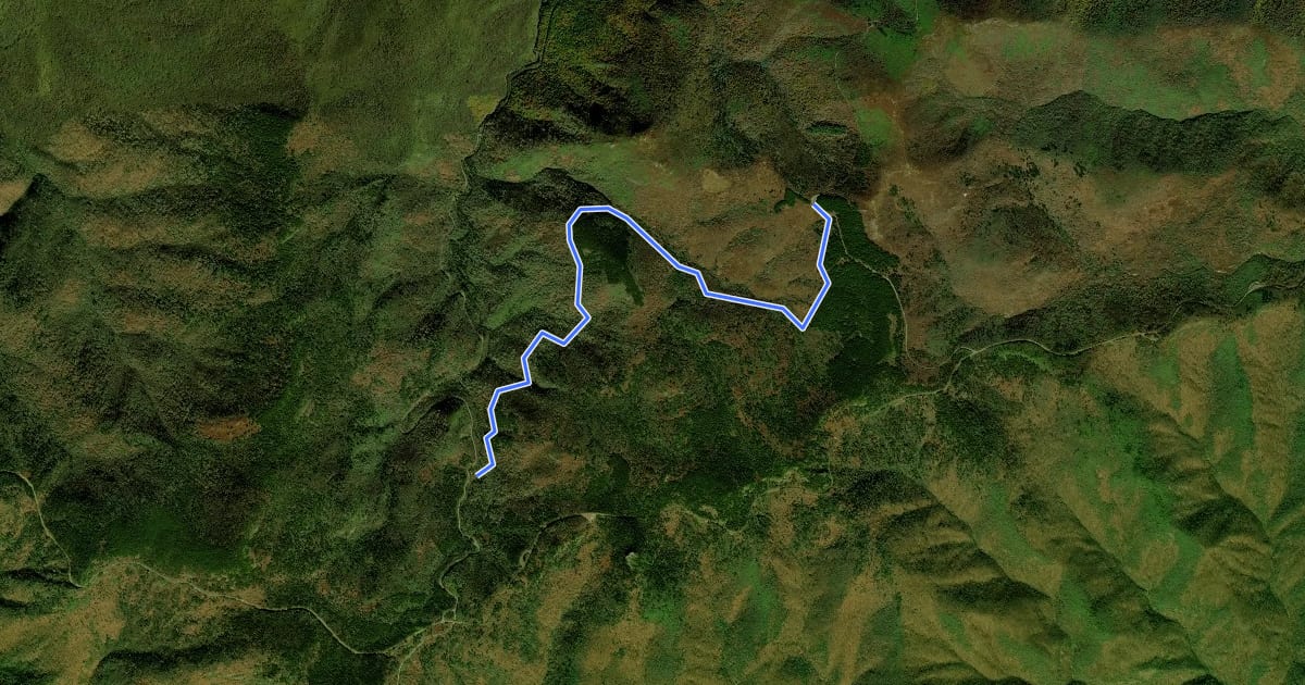 Маршрут Flat Laurel Creek Trail на спутниковом снимке