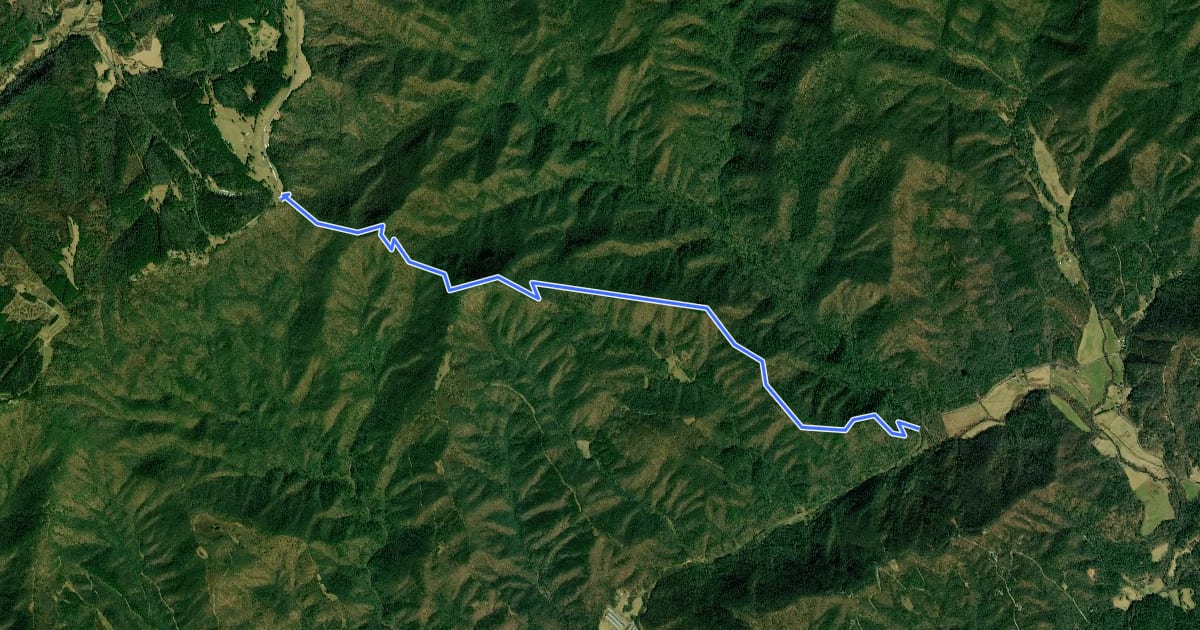 Маршрут Flat Rock Ridge Trail на спутниковом снимке