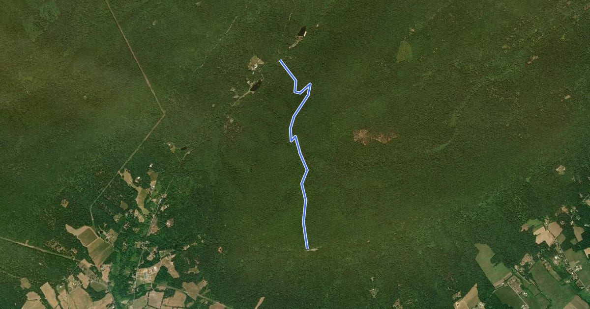Маршрут Flat Rock Trail на спутниковом снимке