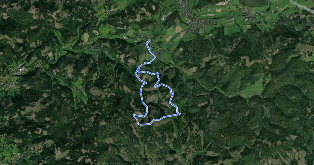 Маршрут Fleckenberg Rundweg F1 на спутниковом снимке