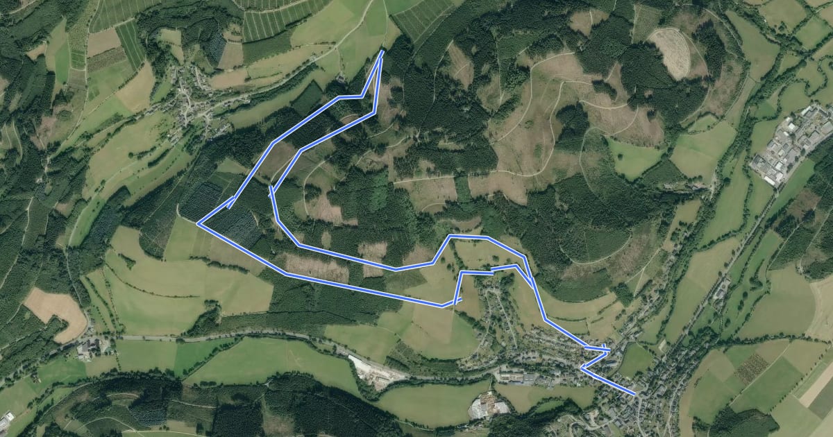 Маршрут Fleckenberg Rundweg F4 на спутниковом снимке