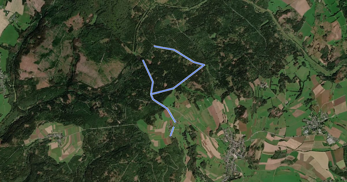 Маршрут Floßteichweg DÖ 90 на спутниковом снимке