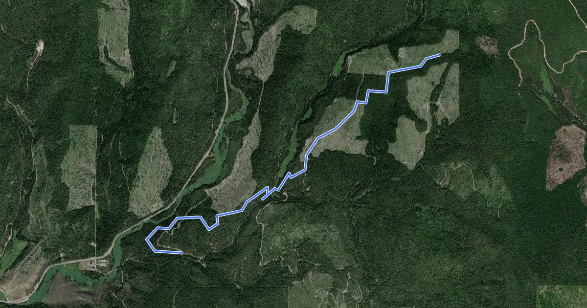 Маршрут Flodelle Creek Trail на спутниковом снимке